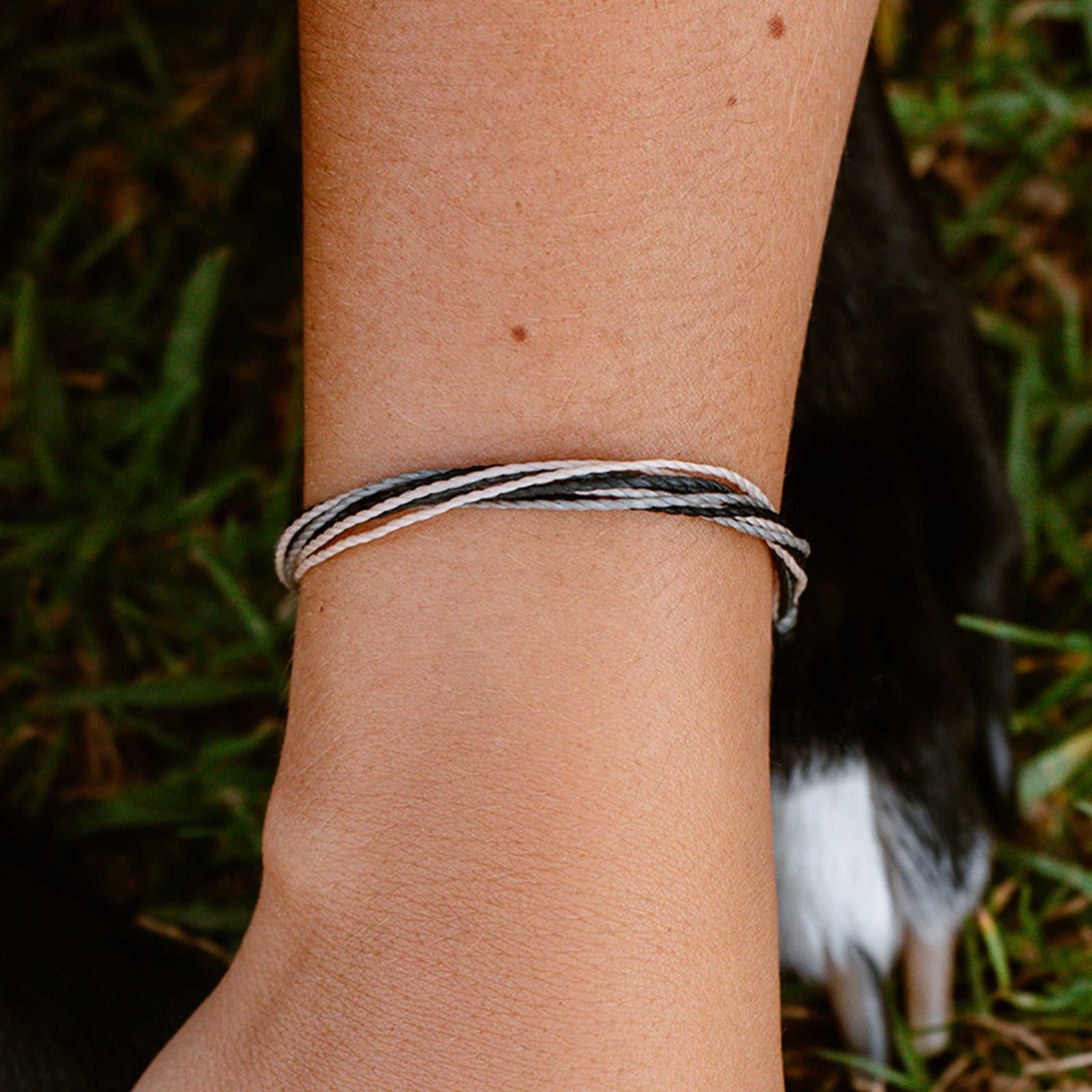 Pet Rescue Bracelet - Image 4