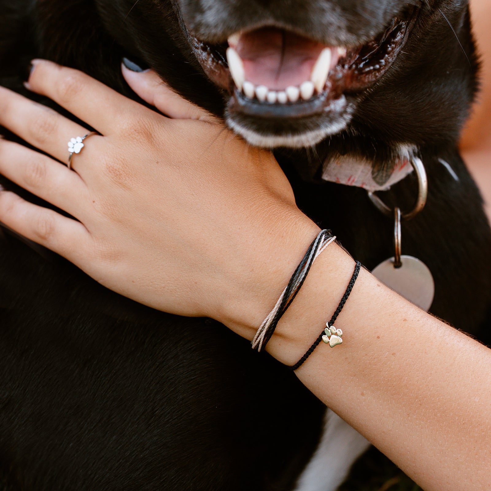 Pet Rescue Bracelet - Image 3
