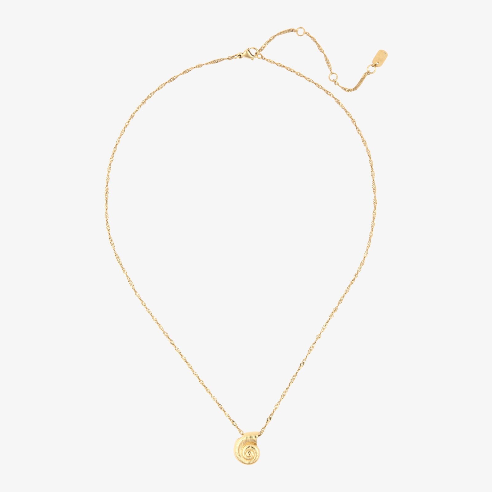 Seashell Pendant Necklace - Image 11