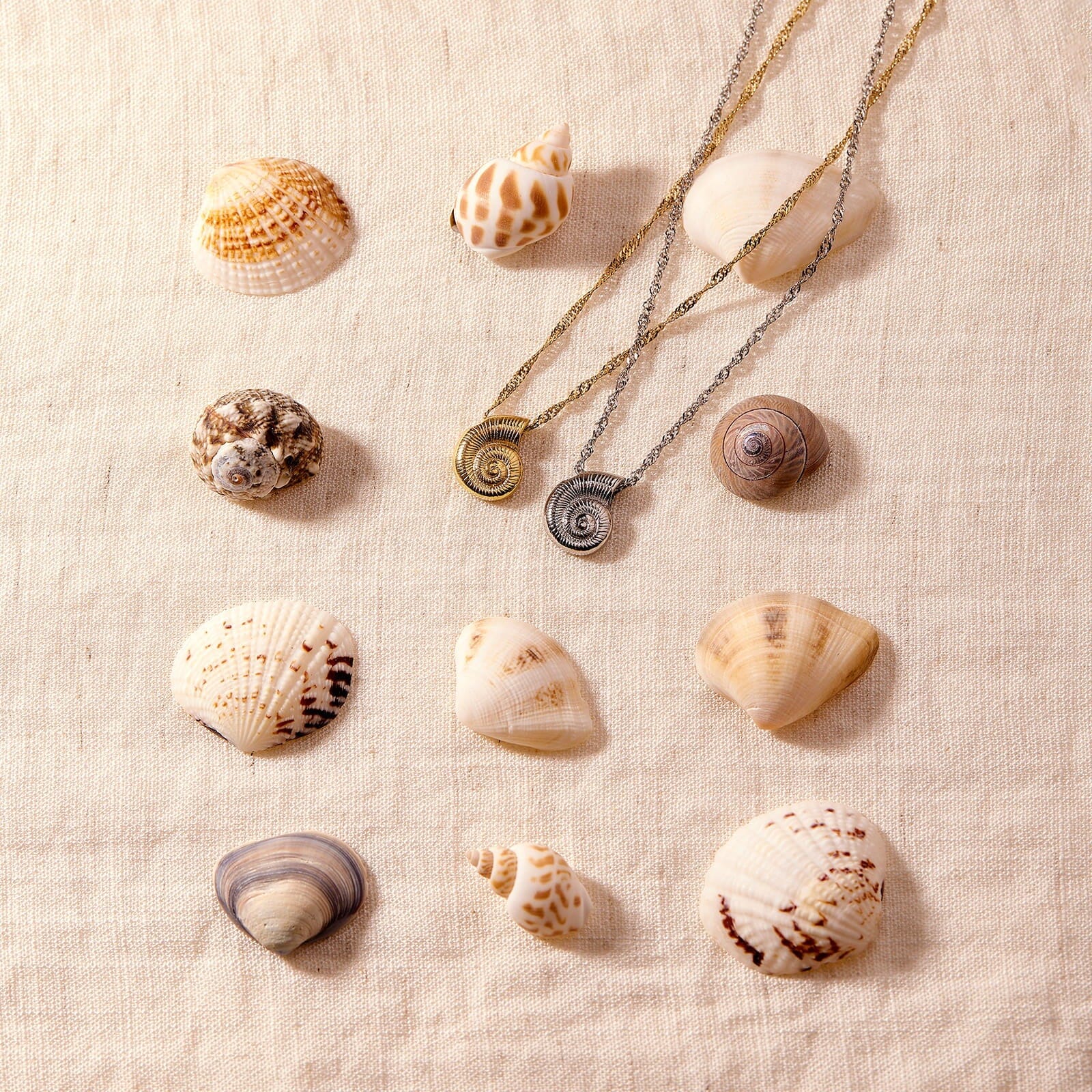 Seashell Pendant Necklace - Image 4