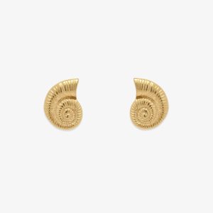 Seashell Stud Earrings