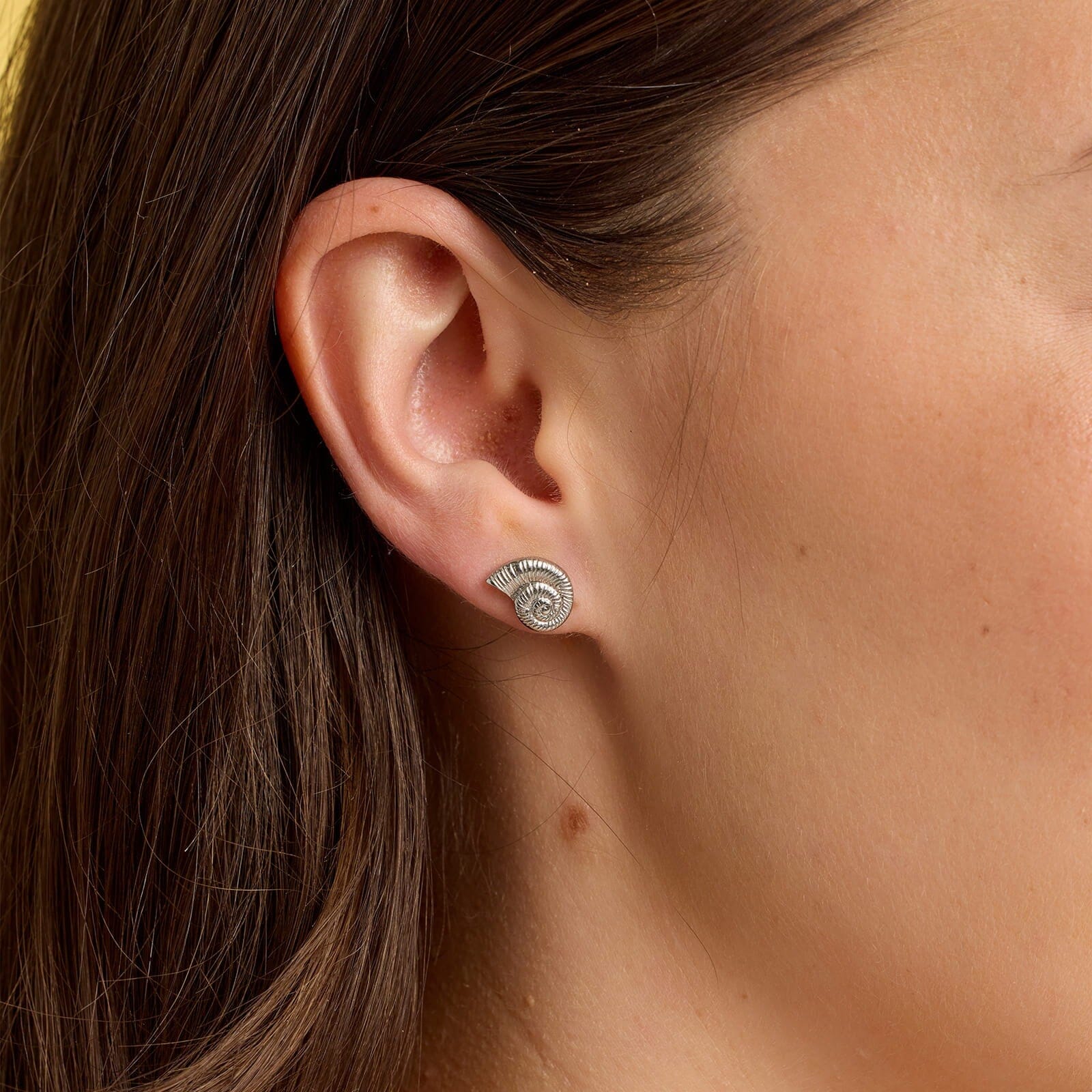 Seashell Stud Earrings - Image 7