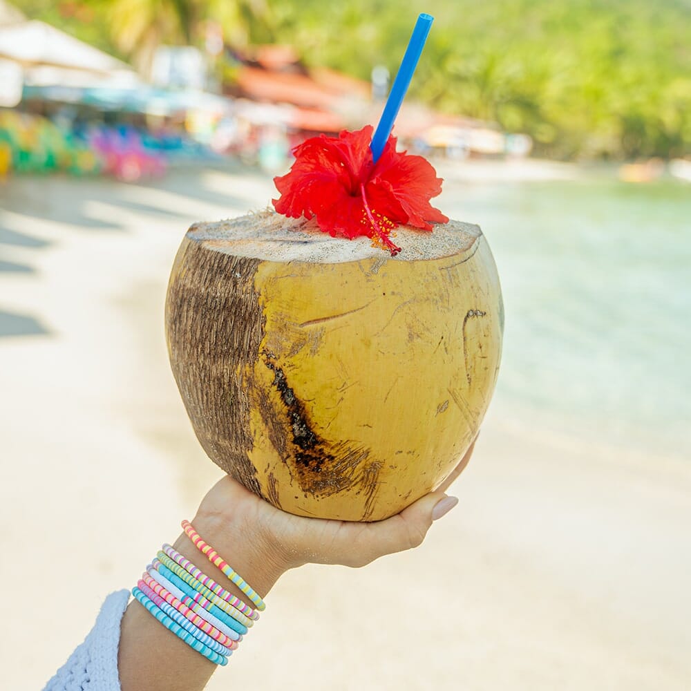 Fortune Beach Stretch Pack Set of 8 - Image 6
